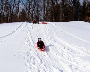 sledding in shelby township